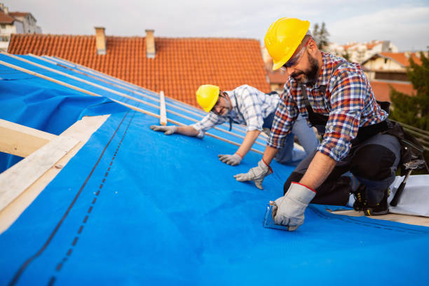 Roof Gutter Cleaning in Mcloud, OK